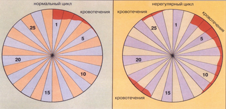 Нарушение менструального цикла: виды, симптомы, лечение. Гинекология в Киеве